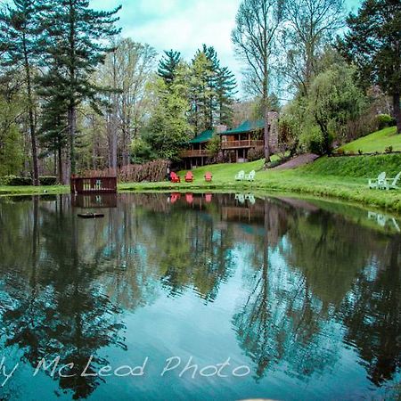 Asheville Cabins Of Willow Winds Zewnętrze zdjęcie