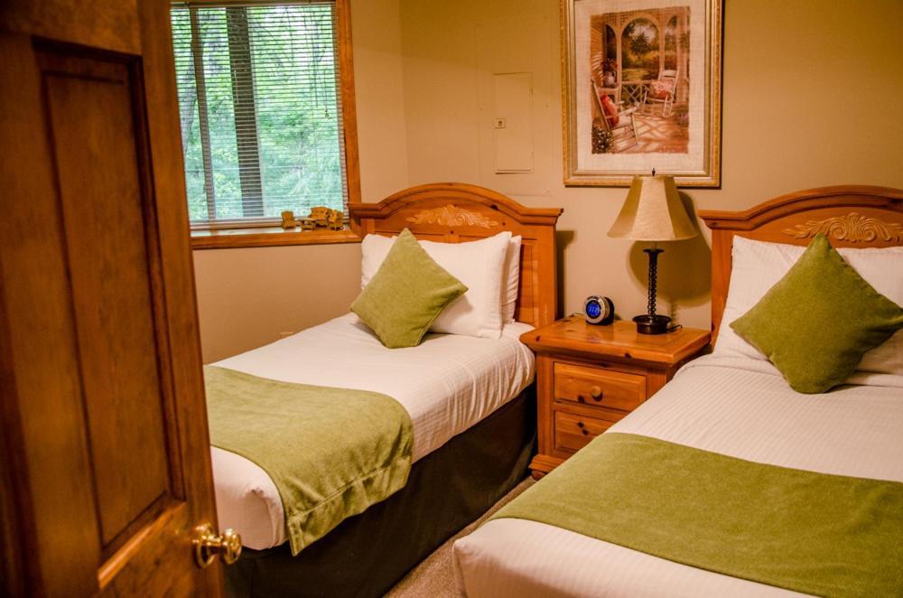 Asheville Cabins Of Willow Winds Zewnętrze zdjęcie